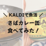 カルディのさばカレー缶食べてみた