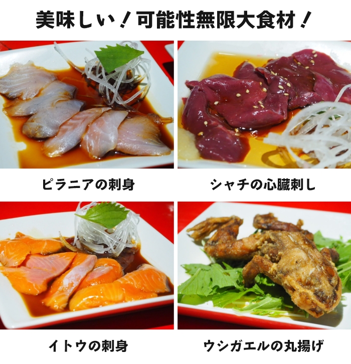 美味しい！可能性無限大食材！ ピラニアの刺身、シャチの心臓刺し、イトウの刺身、ウシガエルの丸揚げ