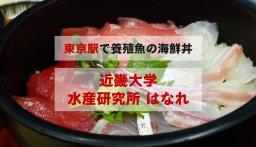【東京駅で海鮮丼】近畿大学水産研究所 はなれで養殖魚に大大大感動した